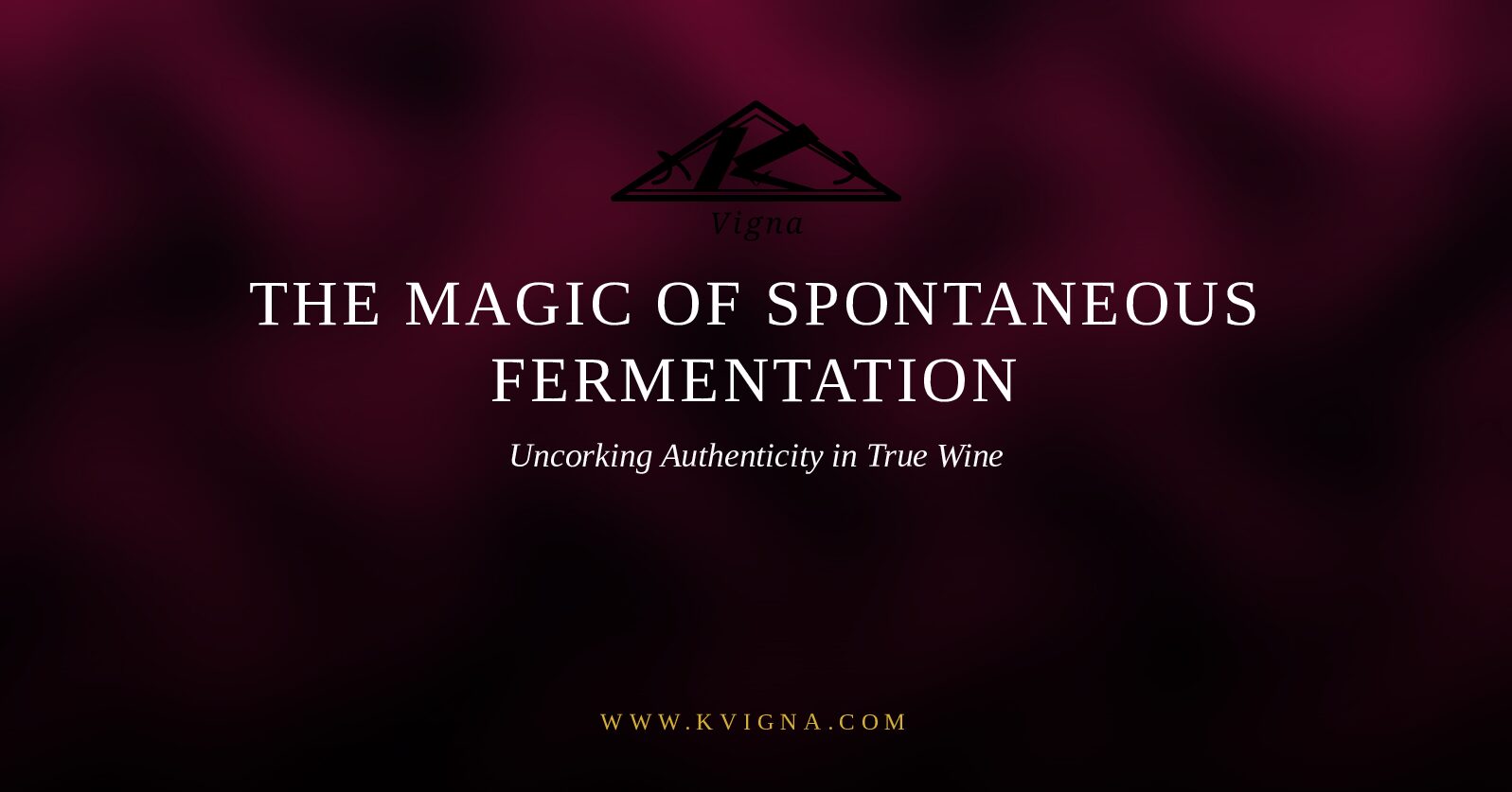 KVigna Logo 1 Fermentation Pdf