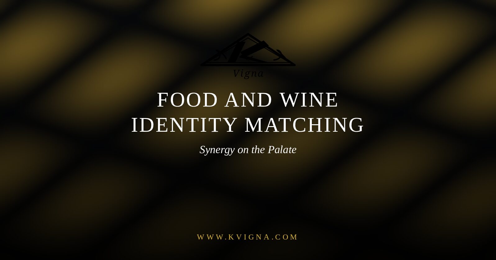 KVigna Logo 3 Identity Pdf